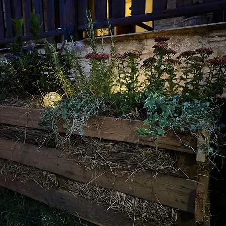 Stenata Lightwill 3*