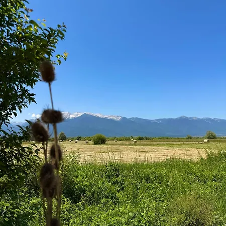 Stenata Lightwill Banja