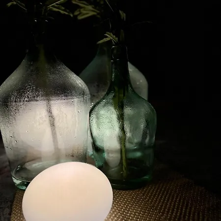 Stenata Lightwill 3* 반야