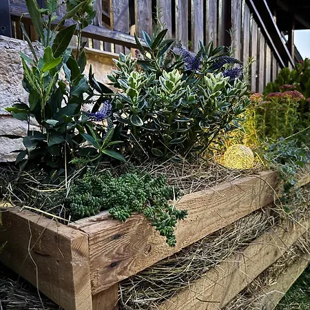 Vendégház Stenata Lightwill