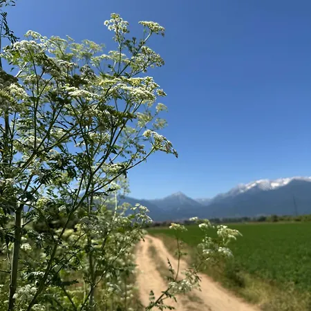 Vendégház Stenata Lightwill