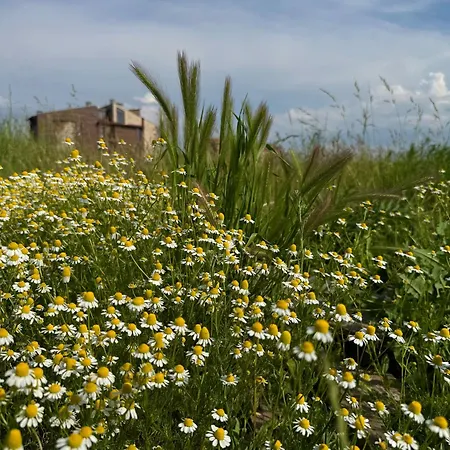 Stenata Lightwill 3* Banja