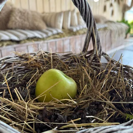 Stenata Lightwill 3*