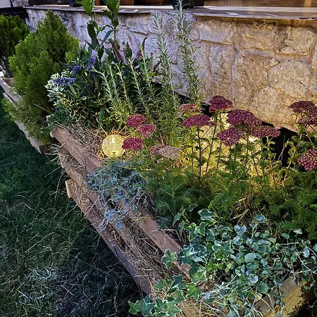 Stenata Lightwill 3* Banja